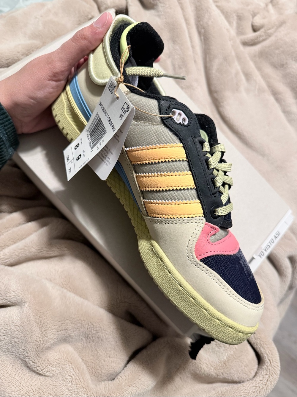 Bad bunny Forum PowerPhase